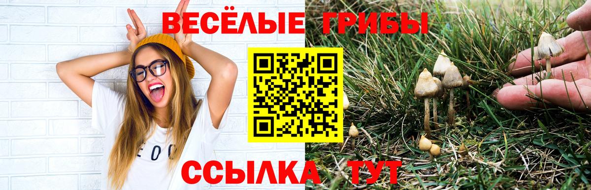 Качканар  Галлюциногенные грибы GOLDEN TEACHER  Псилоцибиновые грибы Psilocybe  Вход с VPN 